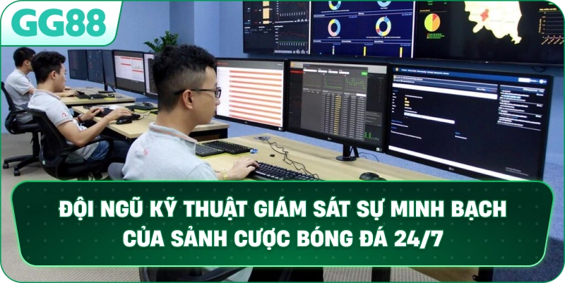 Đội ngũ kỹ thuật giám sát sự minh bạch của sảnh cược bóng đá 24/7.